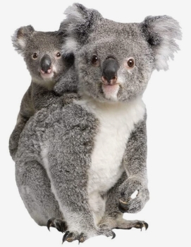 Accompagner <span>et faire grandir</span>