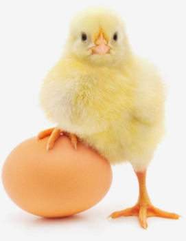 Préparer <span>l'avenir</span>